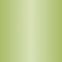 Bouteille Isotherme DGREE Acier Inoxydable 350ml Vert - Idéale pour Enfants et Sport | Qualité Supérieure | Revêtement D — 42 Light Green - Pastel Mat | Vert