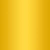 DGREE Bouteille Isotherme noLimit 410ml | Gourde en Acier Inoxydable | Idéal pour Sport et Voyage | Isolée sous vide | C — 06 Lemon Yellow | Jaune