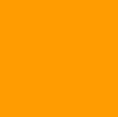 Exllena Gourde Isotherme 24 Heures - Pour Hommes et Femmes - Bureau, Fitness ou Camping - Conservaitrice Froid et Chaud — Mangue