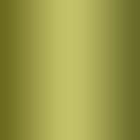 DGREE Bouteille Isotherme noLimit 410ml | Gourde en Acier Inoxydable | Idéal pour Sport et Voyage | Isolée sous vide | C — 07 Olive Green | Vert