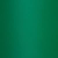DGREE Bouteille Isotherme noLimit 410ml | Gourde en Acier Inoxydable | Idéal pour Sport et Voyage | Isolée sous vide | C — 09 Forest Green | Vert