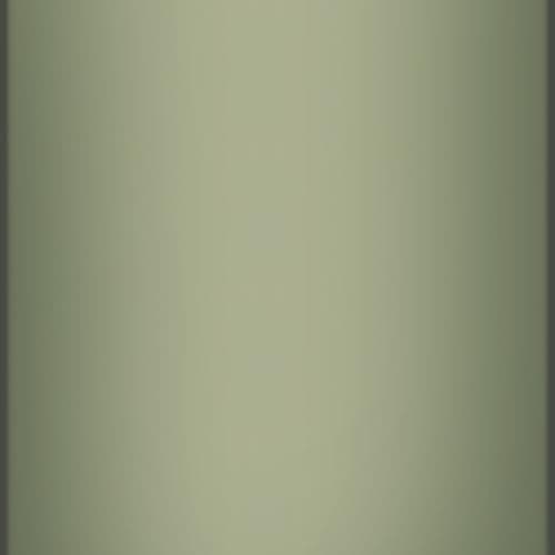 Super Sparrow Gourde TouchSip - Bouteille d'eau Tritan Sans BPA - Idéale pour le Sport et l’École — Vert Désert