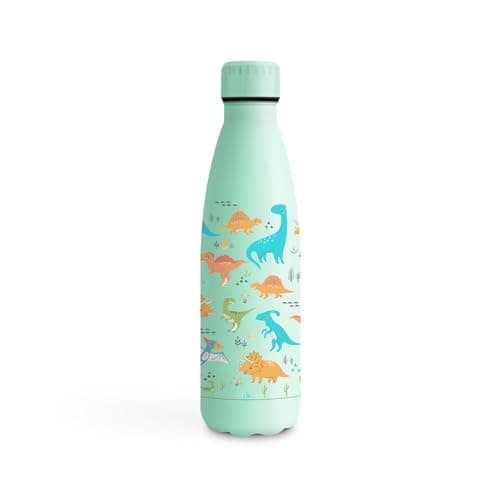 Gourde Inoxydable KollyKolla Isotherme 500ml Impression 3D Sans BPA Reutilisable Enfant Adulte Sport Bureau — 500ml Terres des Dinosaures