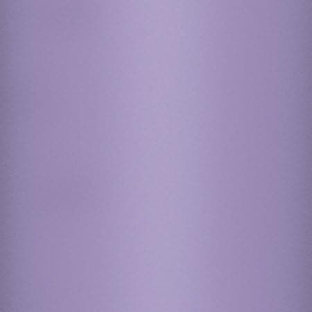 ION8 ThermoShield Grande Tasse Isothérique Chauds Froids Élégant Écologique — Violet Clair