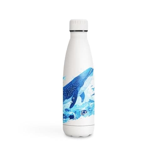 Gourde Inoxydable KollyKolla Isotherme 500ml Impression 3D Sans BPA Reutilisable Enfant Adulte Sport Bureau — 500ml Cardinale