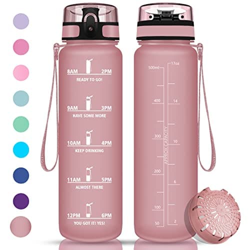 Vikaster Gourde Sport Mat Rose Clair - 500 ML Bouteille d'Eau Sans BPA Étanche & Réutilisable avec Filtre & Marqueur de