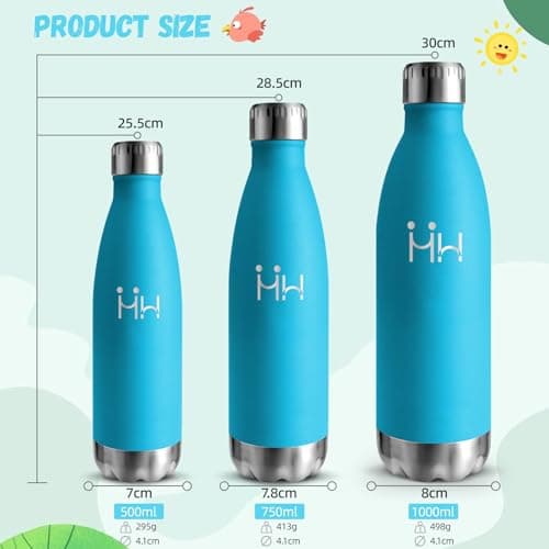 Gourde Isotherme HoneyHolly 500ML Inox sans BPA pour Sport et Outdoor