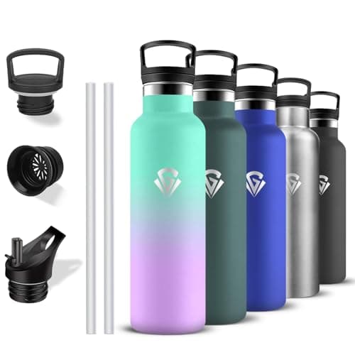 Gourde isotherme sport 500ml anti-fuite double isolation bouteille inoxydable randonnée voyage camping — Violet