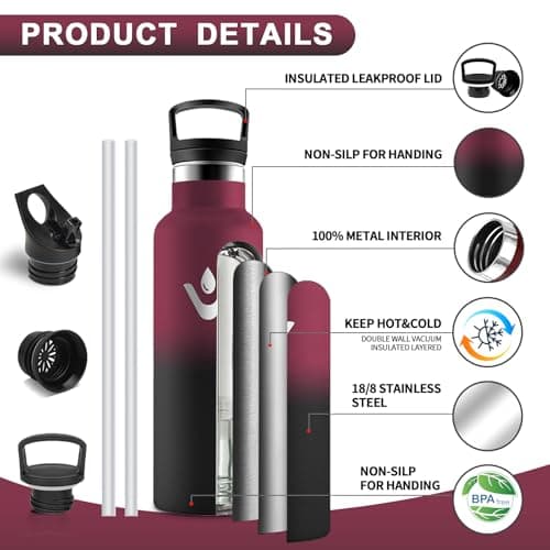 HoneyHolly Bouteille Isotherme 500ml, Gourde INOX à Double Paroi avec Paille, Réutilisable sans BPA, Anti-Fuite – Idéale