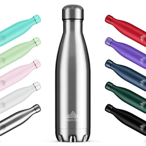 Mont-Clair Gourde Isotherme 750ml sans BPA - 24h Froid /12h Chaud, Bouteille d'Eau en Acier Inoxydable, Bleu Clair - Par — Argent