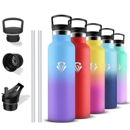 Gourde isotherme sport 500ml anti-fuite double isolation bouteille inoxydable randonnée voyage camping — Bleu-violet