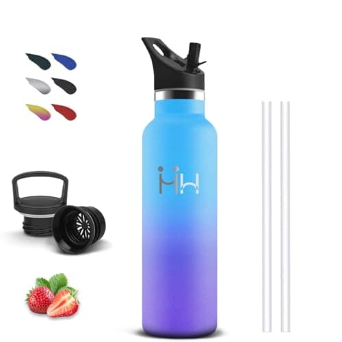 Bouteille Isotherme Inoxydable 500ml pour Voyage et Camping avec Filtrage