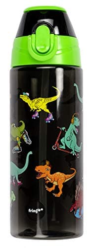 Fringoo Gourde Enfant Haute Qualité 100% sans Bisphénol A | Pour Garçons et Filles | École Primaire - 600 ml/20Oz — Dinosaur Skaters